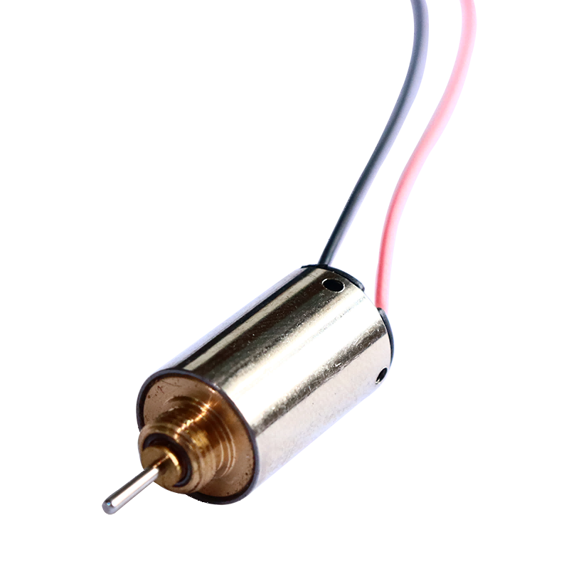 10mm Değerli Metal Fırçalı DC Motor