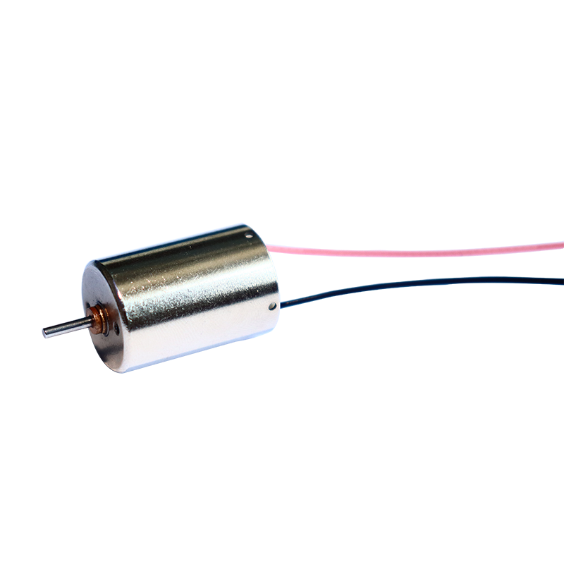 12mm Değerli Metal Fırçalı DC Motor